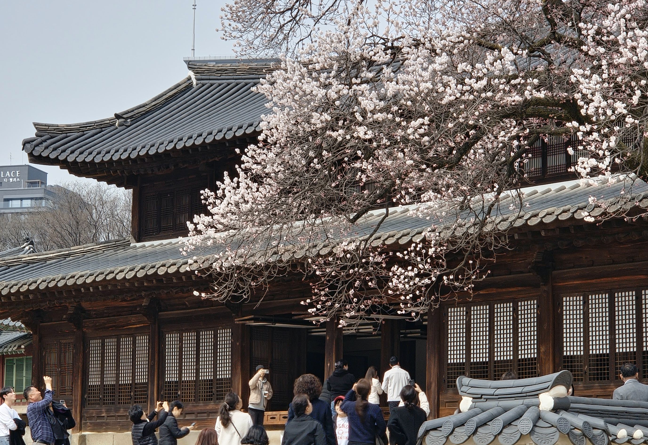 고종이 머문 방과 집무실 보며 을사늑약<乙巳勒約>의 슬픔 느껴요