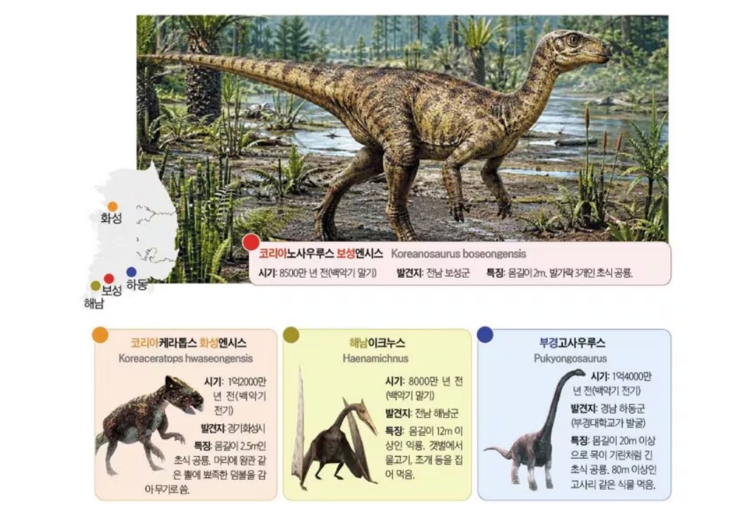 백악기 우리나라에서만 뛰어놀던 K공룡들<한국 토종 공룡>!