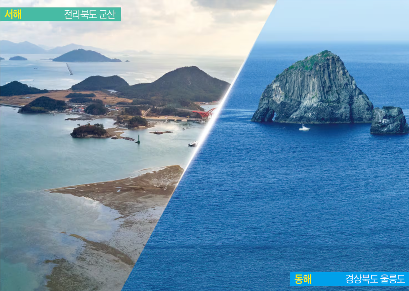 여름 해수욕장 개장! 서해와 동해 바다 색깔이 다른 까닭은?
