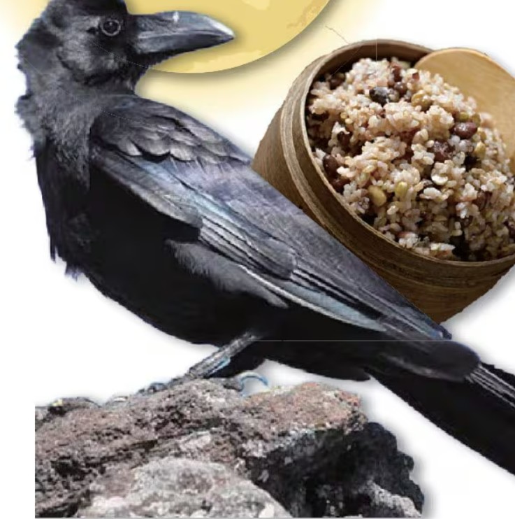 '정월대보름', 신라 왕<소지왕>이 까마귀에게 은혜 갚는 날이래요