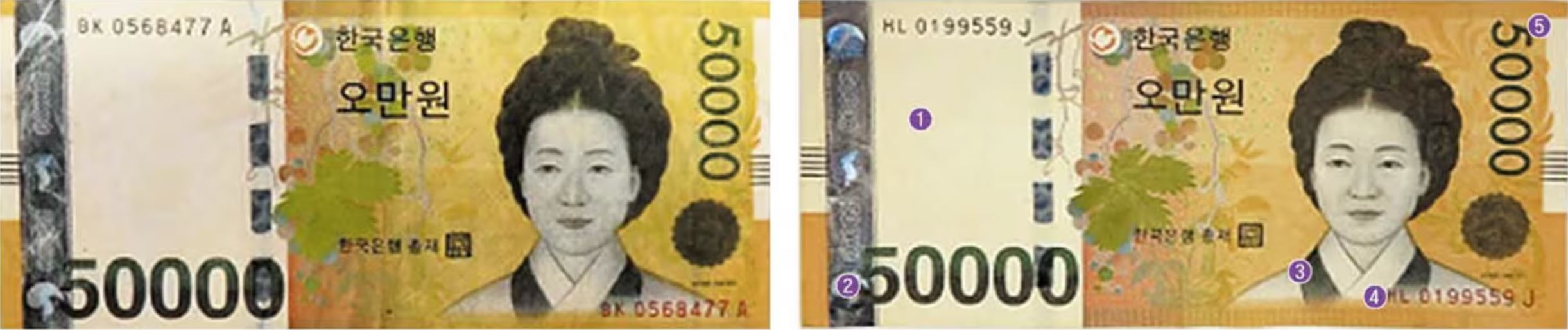 올해 발견된 위조지폐 5억 원... 진짜·가짜 감별법
